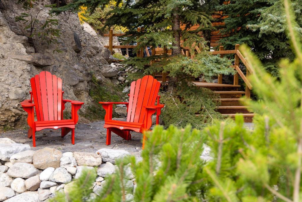 A Bear And Bison Country Inn Canmore Ngoại thất bức ảnh