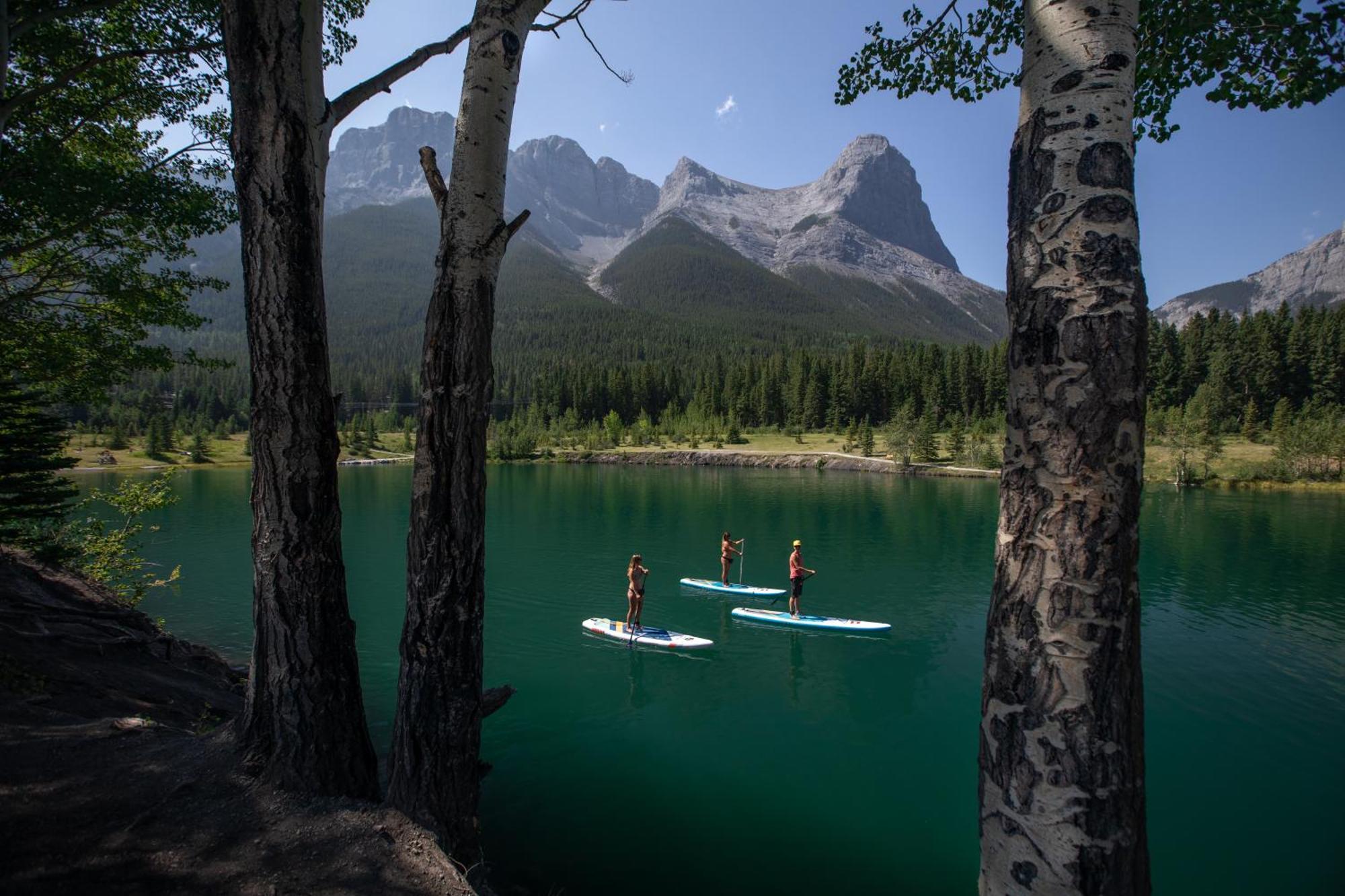 A Bear And Bison Country Inn Canmore Ngoại thất bức ảnh