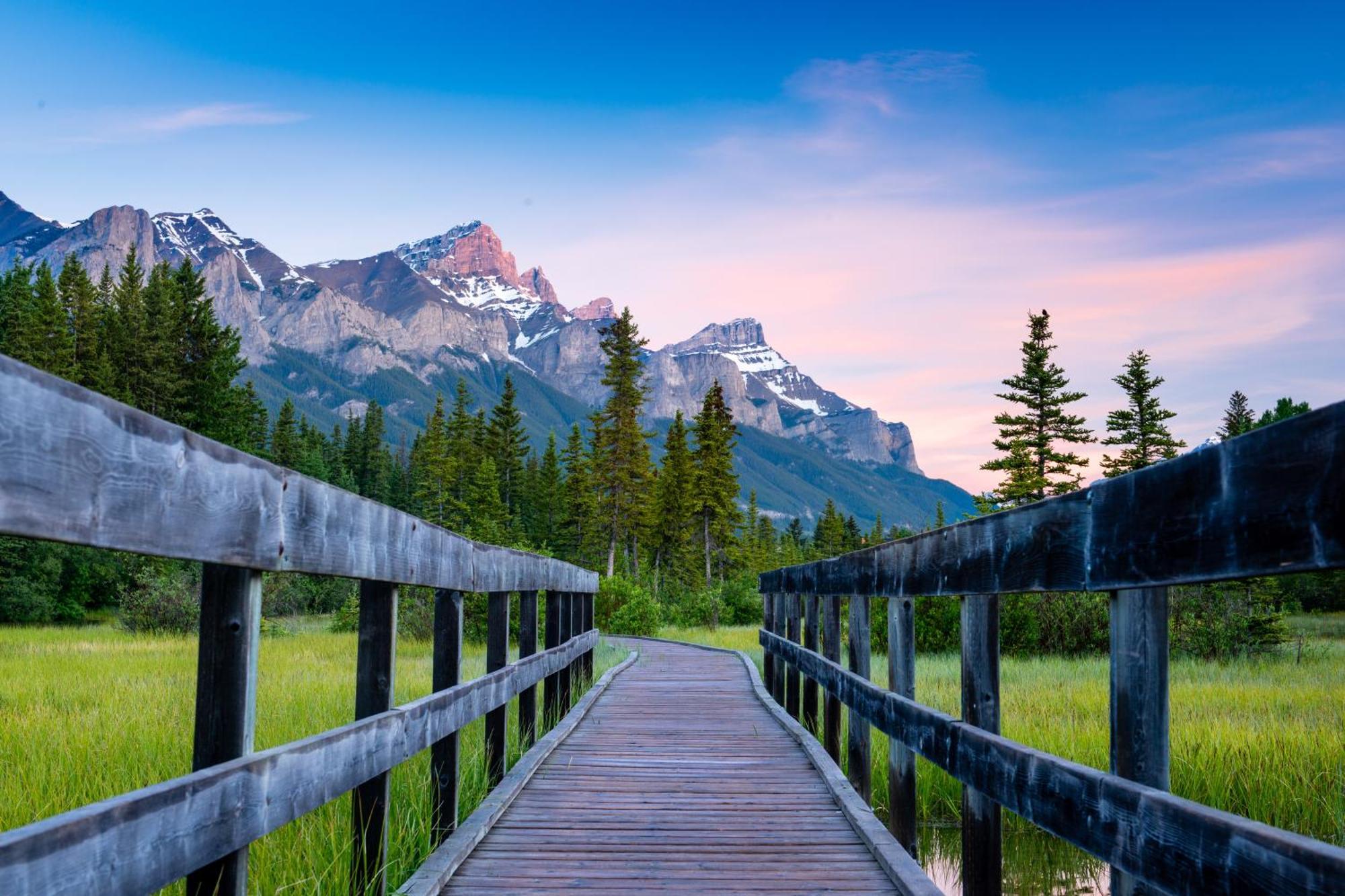 A Bear And Bison Country Inn Canmore Ngoại thất bức ảnh