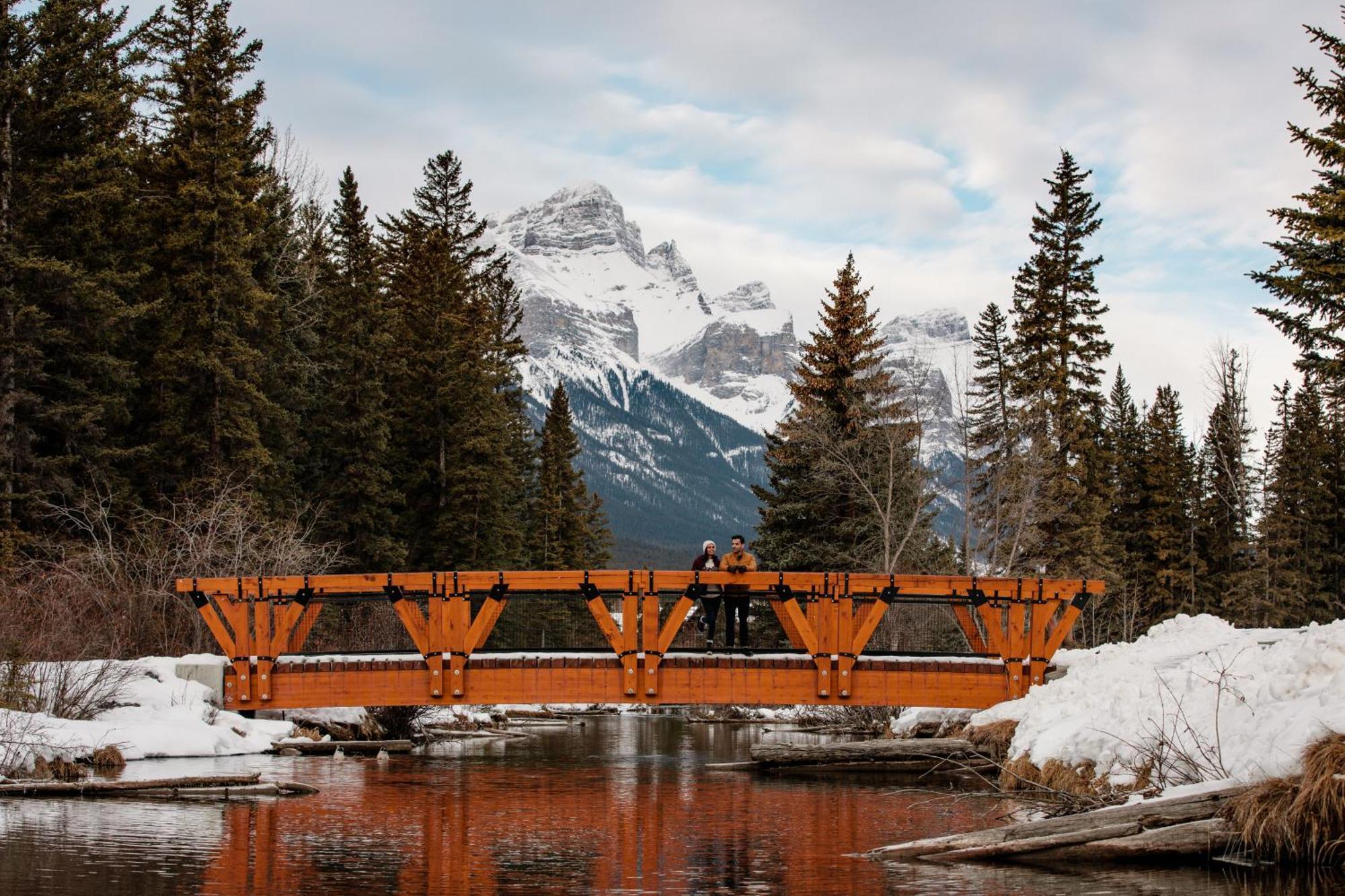A Bear And Bison Country Inn Canmore Ngoại thất bức ảnh