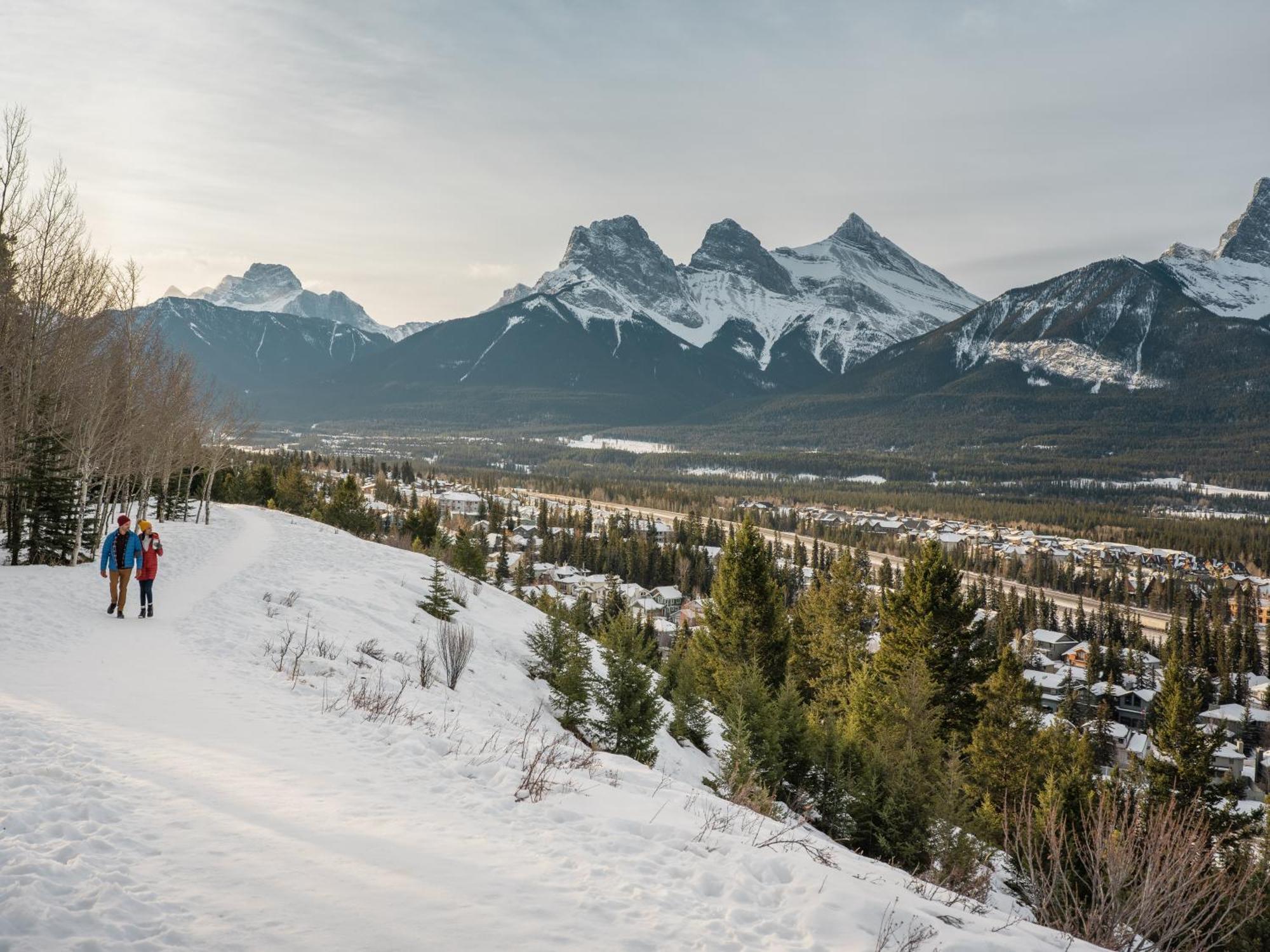 A Bear And Bison Country Inn Canmore Ngoại thất bức ảnh