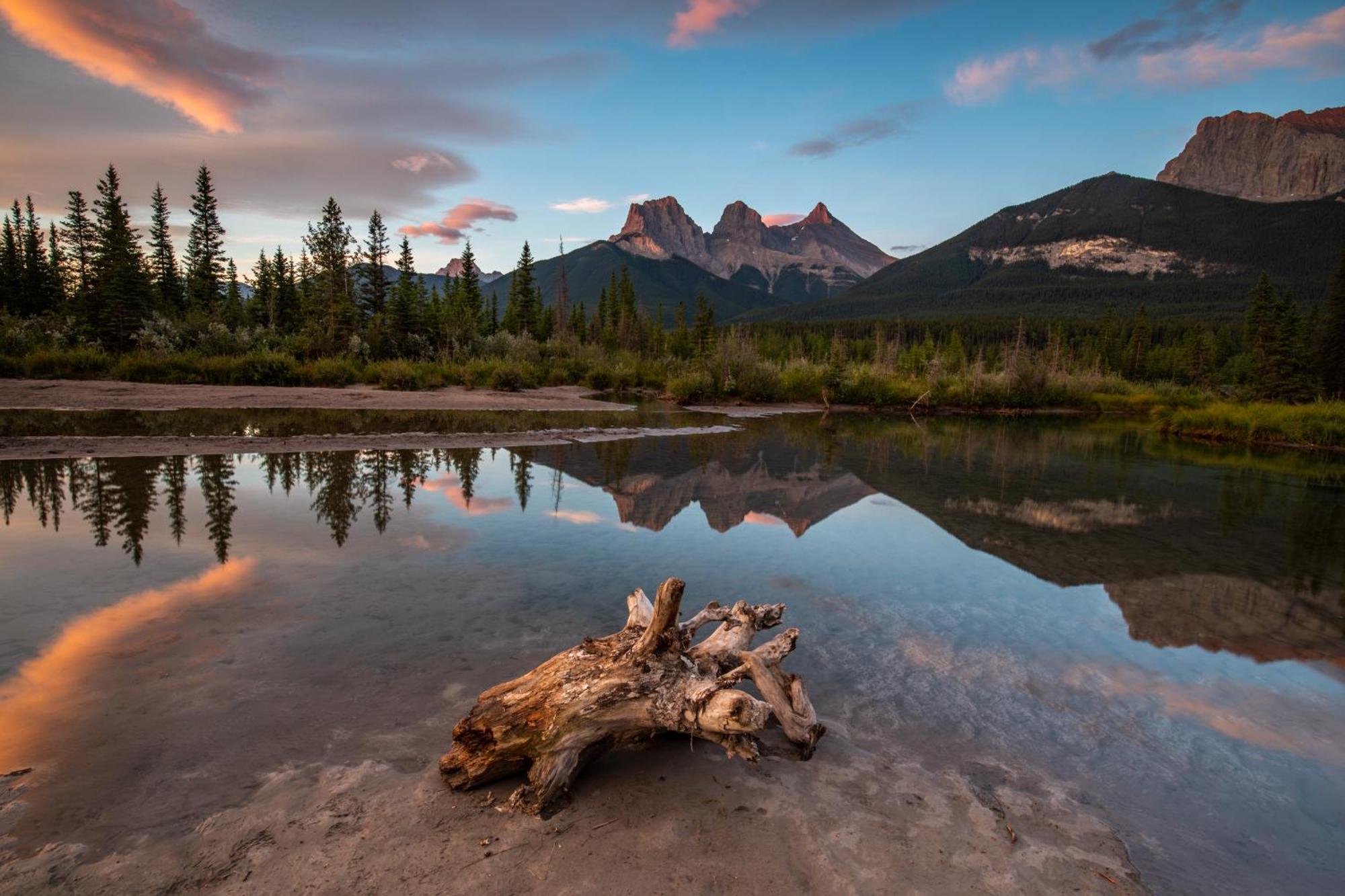 A Bear And Bison Country Inn Canmore Ngoại thất bức ảnh