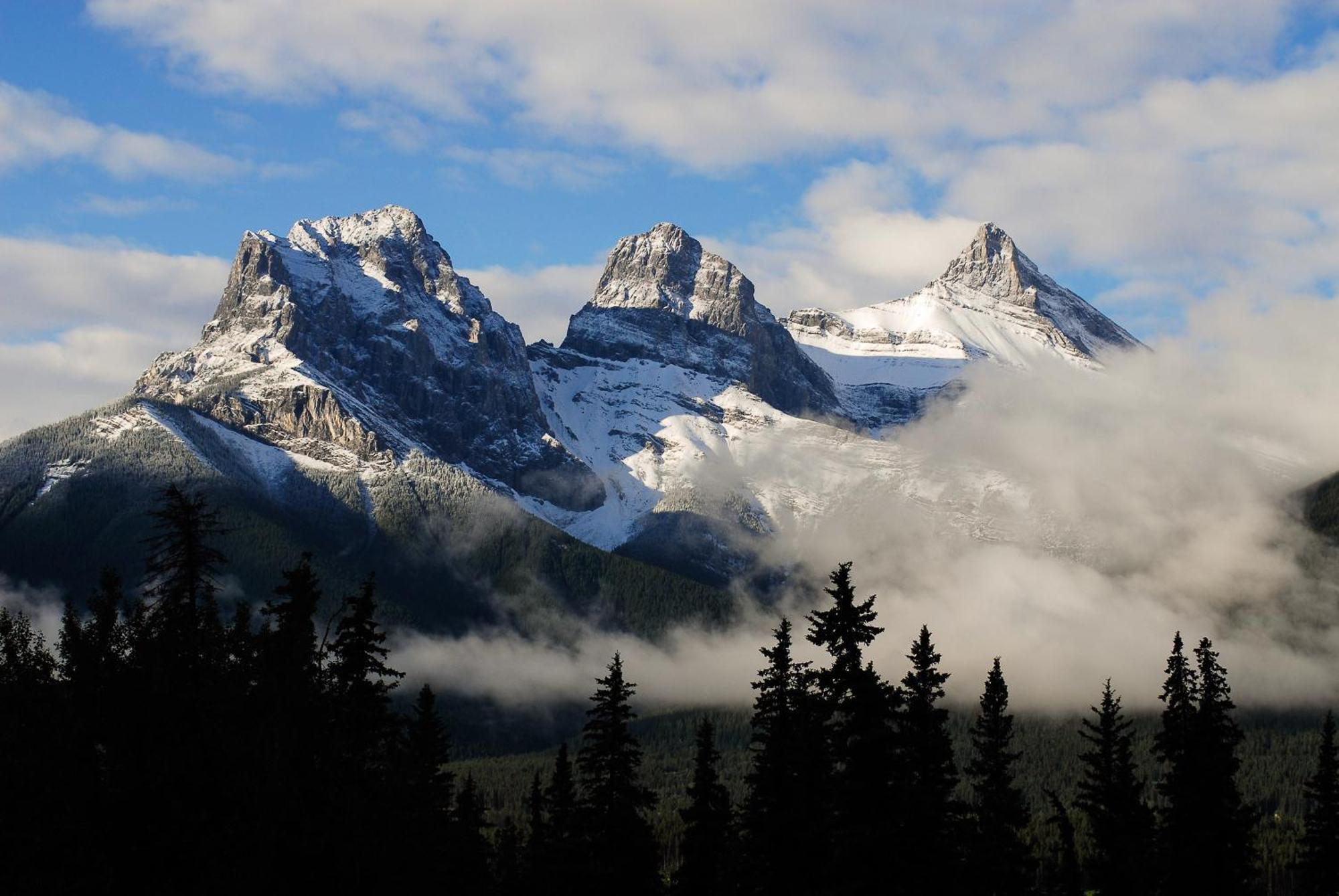 A Bear And Bison Country Inn Canmore Ngoại thất bức ảnh